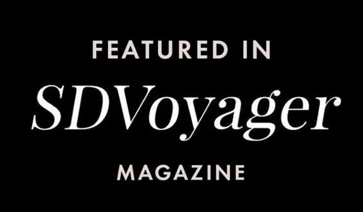 SD Voyager logo